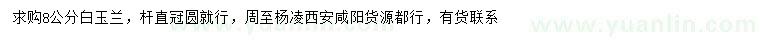 求購8公分白玉蘭