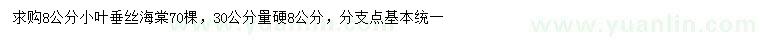 求購(gòu)30量8公分垂絲海棠