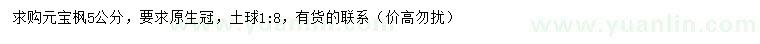 求購(gòu)5公分元寶楓