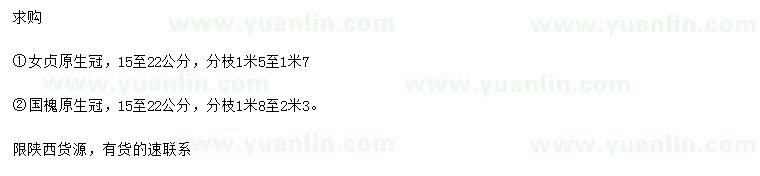 求購15-22公分女貞、國槐