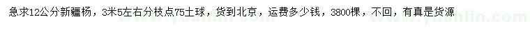 求購12公分新疆楊