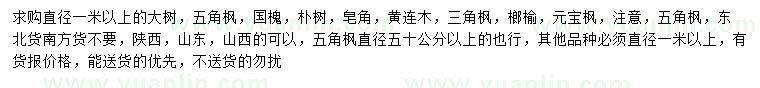 求購(gòu)五角楓、國(guó)槐、樸樹(shù)等