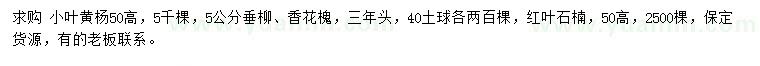 求購(gòu)小葉黃楊、垂柳、香花槐等
