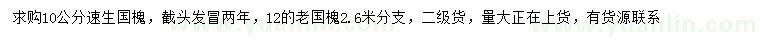求購10公分速生國槐、12公分老國槐