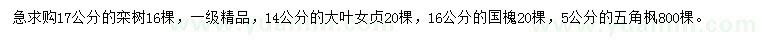 求購欒樹、大葉女貞、國槐等