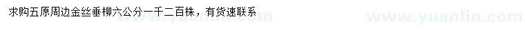 求購(gòu)6公分金絲垂柳