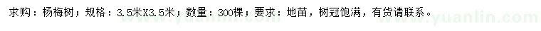 求購3.5米楊梅樹