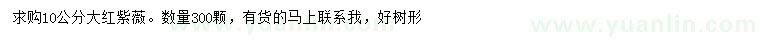 求購(gòu)10公分大紅紫薇