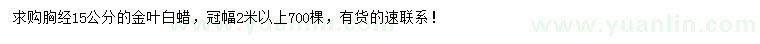 求購胸徑15公分金葉白蠟