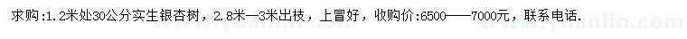 求購(gòu)1.2米處30公分銀杏