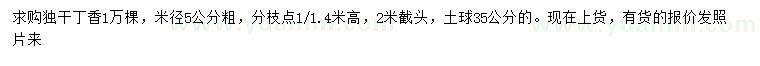求購米徑5公分丁香