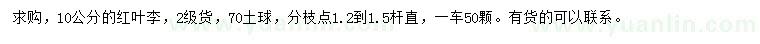 求購(gòu)10公分紅葉李