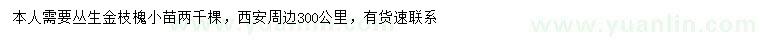 求購5分枝以上叢生金枝槐小苗