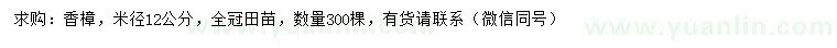 求購米徑12公分香樟