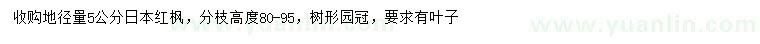 求購地徑5公分日本紅楓