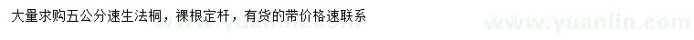 求購5公分速生法桐
