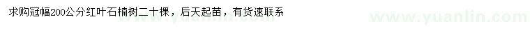 求購冠幅200公分紅葉石楠