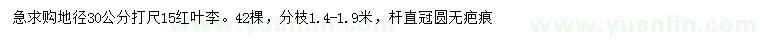 求購30量15公分紅葉李