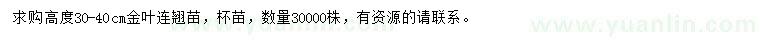 求購(gòu)高度30-40cm金葉連翹