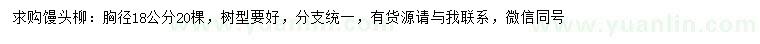 求購胸徑18公分饅頭