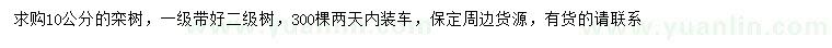 求購10公分欒樹