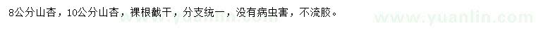 求購8公分、10公分山杏