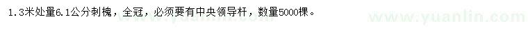 求購6.1公分刺槐