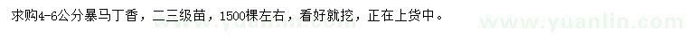 求購(gòu)4-6公分暴馬丁香
