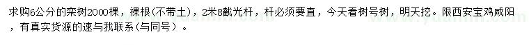 求購6公分欒樹