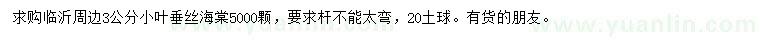 求購3公分小葉垂絲海棠