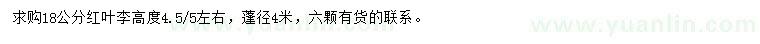 求購18公分紅葉李