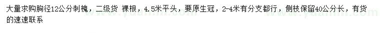 求購(gòu)胸徑12公分刺槐