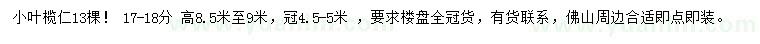 求購小葉欖仁