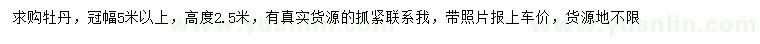 求購(gòu)高2.5米牡丹
