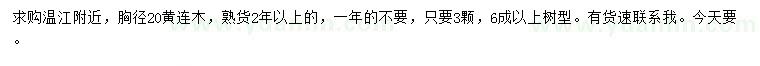 求購胸徑20黃連木