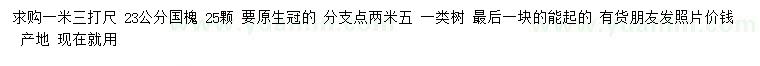 求購1.3米量23公分國槐