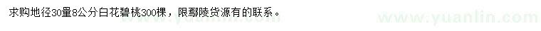 求購地徑8公分白花碧桃