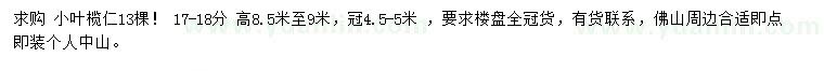 求購(gòu) 17-18分小葉欖仁