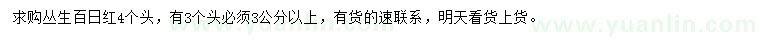 求購叢生百日紅