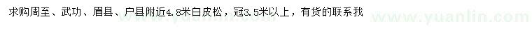 求購(gòu)4.8米白皮松