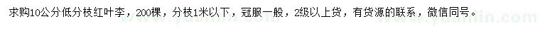 求購10公分紅葉李
