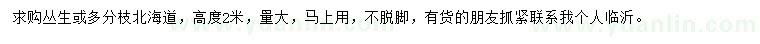 求購叢生或多分枝北海道