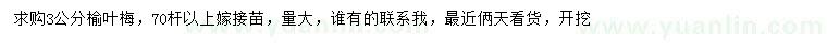 求購3公分榆葉梅
