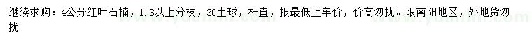 求購4公分紅葉石楠