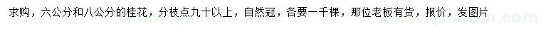 求購6、8公分桂花