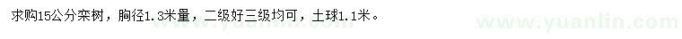 求購15公分欒樹