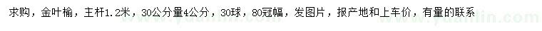 求購30公分量4公分金葉榆