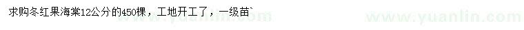 求購(gòu)12公分冬紅果海棠