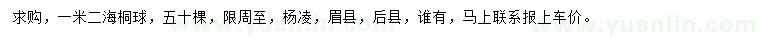 求購1.2米海桐球
