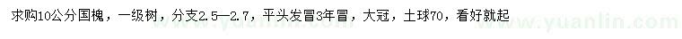 求購10公分國槐